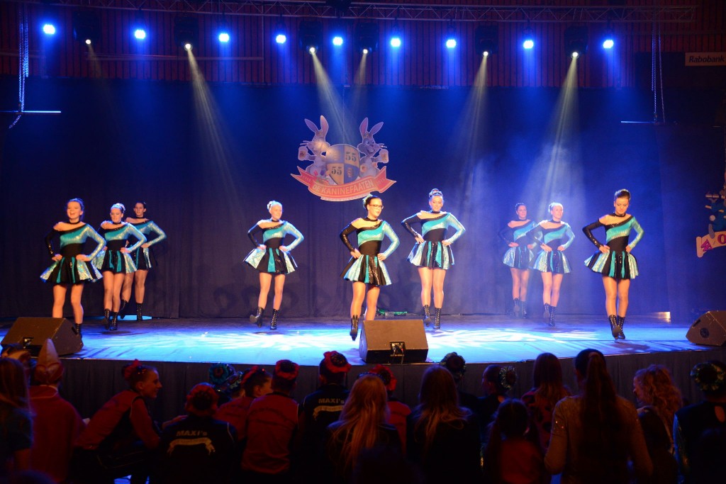 ../Images/Dansmarieke festival 2015 211.jpg